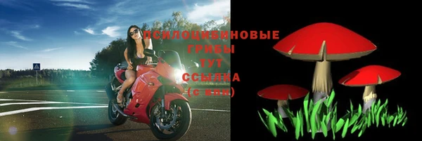 гашишное масло Беломорск