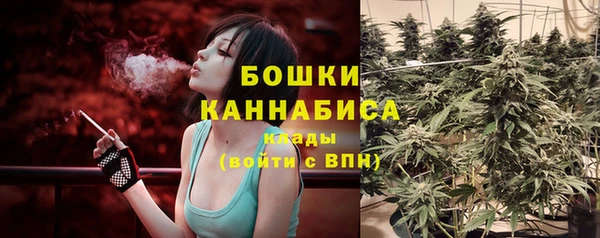 дмт Белокуриха