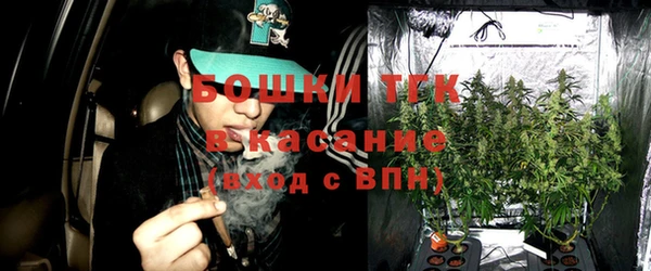 дмт Белокуриха