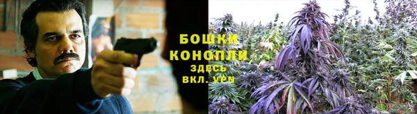 ешки Белоозёрский